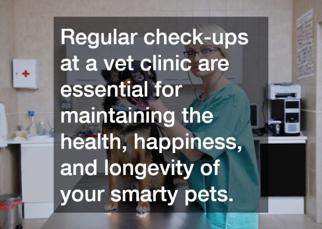Understanding the Importance of Regular Check-Ups at a Vet Clinic
