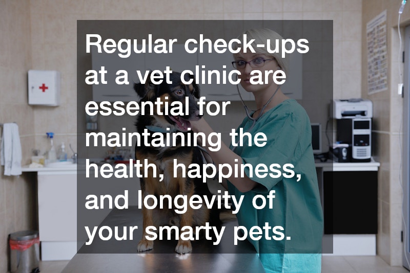 Understanding the Importance of Regular Check-Ups at a Vet Clinic